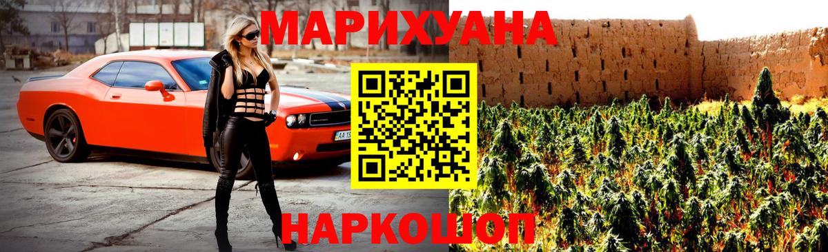 Аргун  Бошки марихуана тримм  Вход с VPN  Канабис OG Kush 